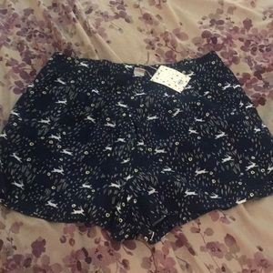 White rabbit Alice in wonderland Disney shorts